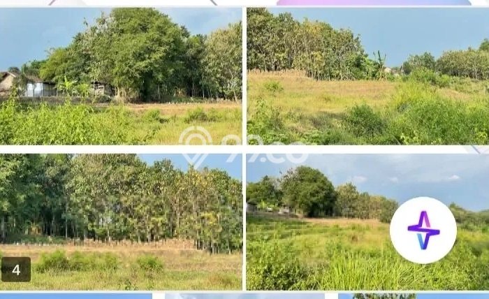 Lahan Kosong Dijual di Wungu, Madiun, Luas 1600m2 Area Strategis Lahan Kosong Dijual di Wungu, Madiun, Luas 1600m2 Area Strategis