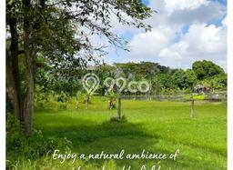 Kavling Tanah untuk Dijual di canggu, Badung, Luas 800m2 Kavling Tanah untuk Dijual di canggu, Badung, Luas 800m2