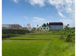 AREA PROSPEKTIF! Tanah Kawasan , Luas 1200m2m², Akses Fasilitas Umum, Kawasan Berkembang AREA PROSPEKTIF! Tanah Kawasan , Luas 1200m2m², Akses Fasilitas Umum, Kawasan Berkembang