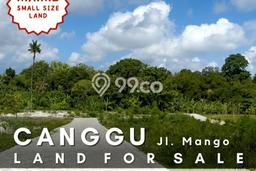 Tanah Strategis Kawasan Canggu, Luas 290m², Ideal untuk Perumahan Tanah Strategis Kawasan Canggu, Luas 290m², Ideal untuk Perumahan