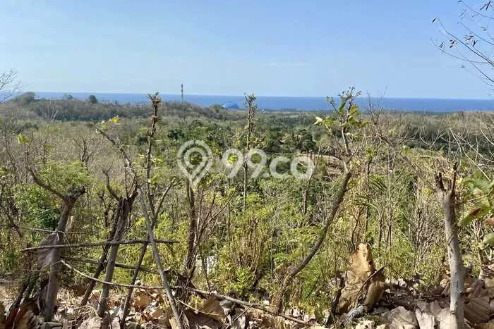 Tanah di Gerokgak, Buleleng Luas 22500m2 Dijual Segera Tanah di Gerokgak, Buleleng Luas 22500m2 Dijual Segera