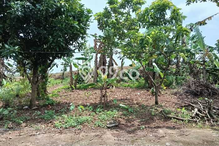 Kavling Tanah di Mijen Dijual Luas 120m2 Legalitas SHM Kavling Tanah di Mijen Dijual Luas 120m2 Legalitas SHM