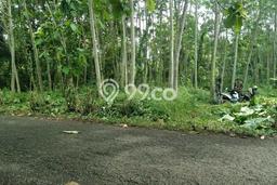 Tanah Dijual Lokasi Mijen Semarang SHM Tanah Dijual Lokasi Mijen Semarang SHM