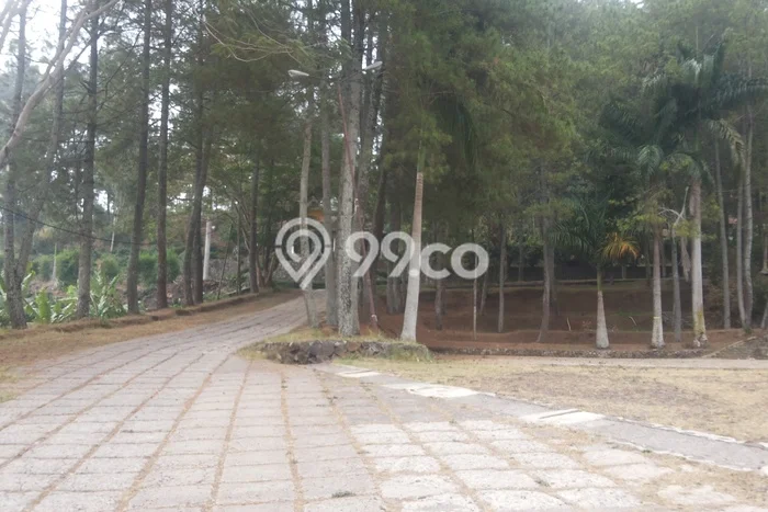 Tanah Dijual Lokasi Lembang, Bandung Barat dengan Luas Tanah 14896m2 dan Status SHM Tanah Dijual Lokasi Lembang, Bandung Barat dengan Luas Tanah 14896m2 dan Status SHM