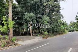Lahan Dijual Lokasi Bantul, Bantul dengan Luas Tanah 79m2 dan Status SHM Lahan Dijual Lokasi Bantul, Bantul dengan Luas Tanah 79m2 dan Status SHM