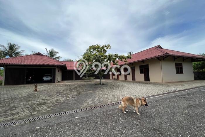 INVESTASI POTENSIAL! Vila di , Area 156685m2m², Kawasan Berkembang INVESTASI POTENSIAL! Vila di , Area 156685m2m², Kawasan Berkembang