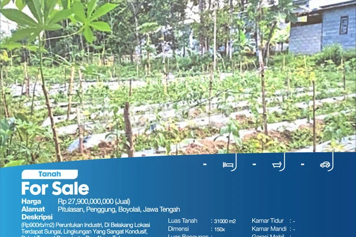 Tanah Kavling Dijual di Boyolali dengan Spesifikasi 31000m2 Tanah Kavling Dijual di Boyolali dengan Spesifikasi 31000m2