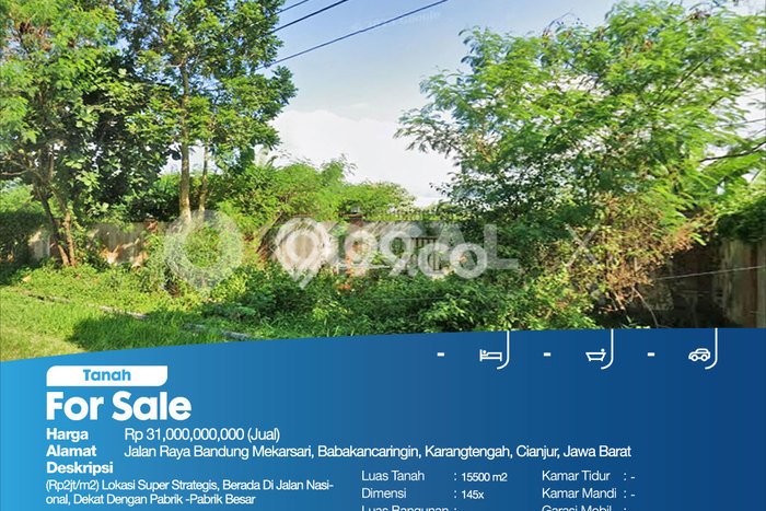 Tanah Dijual Lokasi Cipanas, Cianjur dengan Luas Tanah 15500m2 dan Status SHM Tanah Dijual Lokasi Cipanas, Cianjur dengan Luas Tanah 15500m2 dan Status SHM