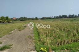 Tanah Dijual Lokasi Tabanan, Tabanan dengan Luas Tanah 2350m2 dan Status SHM Tanah Dijual Lokasi Tabanan, Tabanan dengan Luas Tanah 2350m2 dan Status SHM