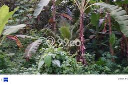 Tanah Dijual di Tabanan Seluas 500m2 Strategis Tanah Dijual di Tabanan Seluas 500m2 Strategis
