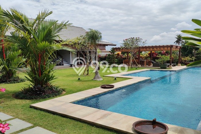 Hunian Minimalis Untuk Disewakan di canggu Badung 4 KT & 3 KM Hunian Minimalis Untuk Disewakan di canggu Badung 4 KT & 3 KM