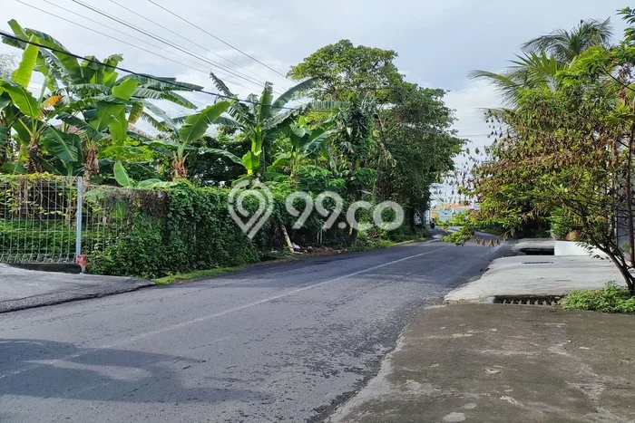 Tanah Investasi Dijual di Badung Punya Luas 50000m2 Tanah Investasi Dijual di Badung Punya Luas 50000m2