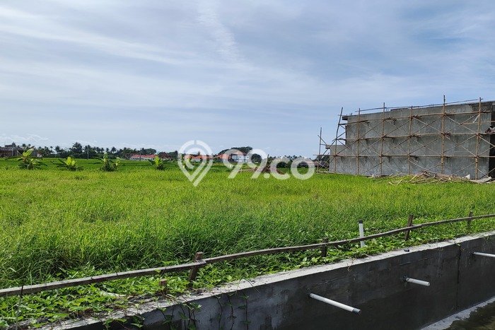 Tanah Disewa Strategis di Badung Luas 10000m2 Tanah Disewa Strategis di Badung Luas 10000m2
