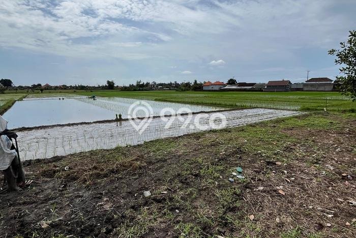 Tanah Kavling Dijual di Kaba kaba, Tabanan dengan Luas Tanah 4700m2 Tanah Kavling Dijual di Kaba kaba, Tabanan dengan Luas Tanah 4700m2