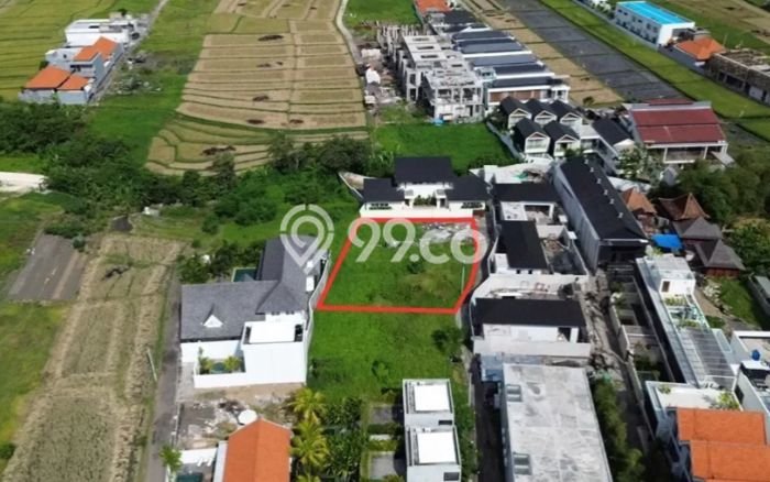 Kavling Tanah untuk Disewa di canggu Lahan Luas 716m2 Kavling Tanah untuk Disewa di canggu Lahan Luas 716m2