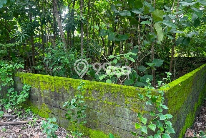 Tanah Kavling Dijual di Badung dengan Spesifikasi 300m2 Tanah Kavling Dijual di Badung dengan Spesifikasi 300m2