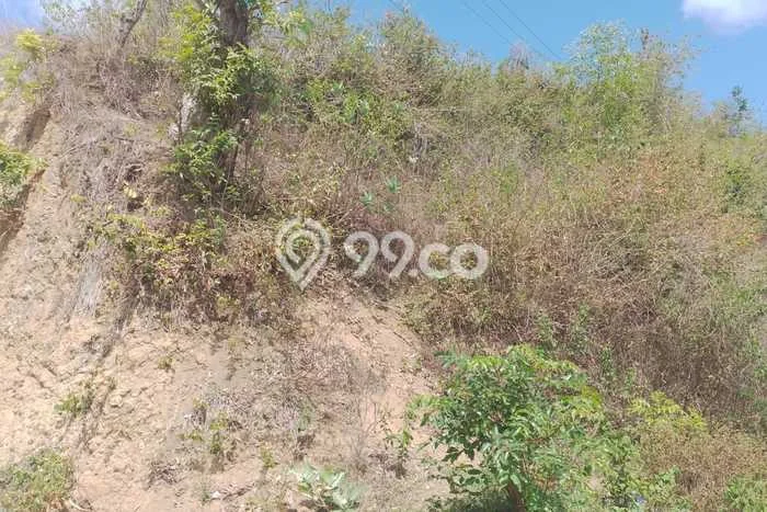 Tanah Dijual Lokasi Strategis di Lombok Barat dengan Luas 7000m2 Tanah Dijual Lokasi Strategis di Lombok Barat dengan Luas 7000m2
