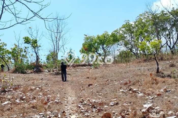 Untuk Dijual Tanah 5000m2 di Singaraja, Buleleng Untuk Dijual Tanah 5000m2 di Singaraja, Buleleng