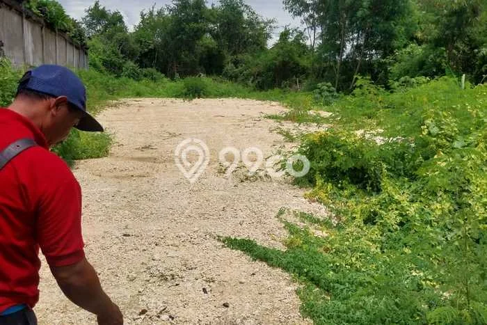 Disewakan Tanah di Denpasar Barat Luas 500m2 SHM Disewakan Tanah di Denpasar Barat Luas 500m2 SHM