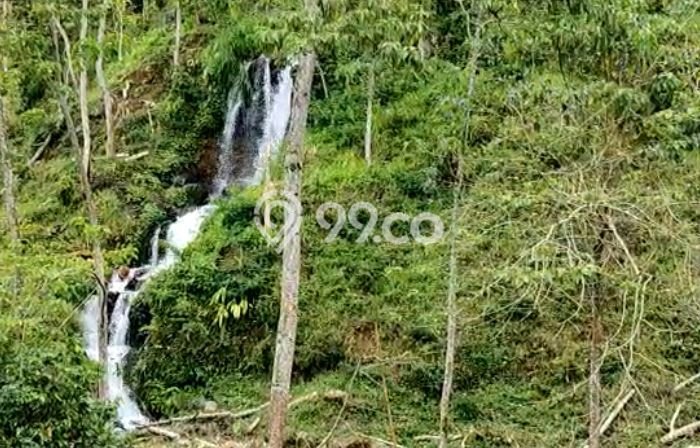 Kavling Tanah untuk Dijual di Singaraja, Buleleng, Luas 9870m2 Kavling Tanah untuk Dijual di Singaraja, Buleleng, Luas 9870m2