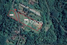 Kavling Tanah Dijual di Ubud, Gianyar, Luas 7000m2 Area Strategis Kavling Tanah Dijual di Ubud, Gianyar, Luas 7000m2 Area Strategis