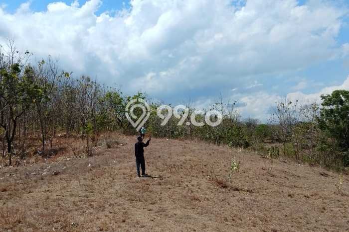 Untuk Dijual Tanah 5000m2 di Singaraja, Buleleng Untuk Dijual Tanah 5000m2 di Singaraja, Buleleng