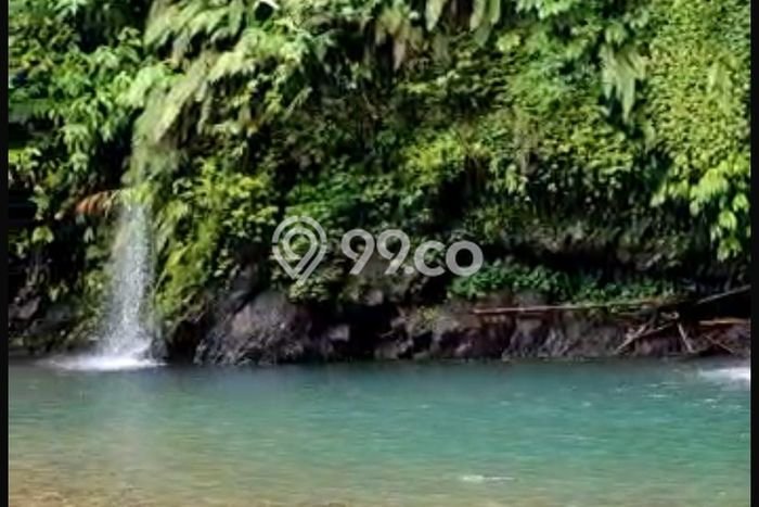 Kavling Tanah untuk Dijual di Singaraja, Buleleng, Luas 9870m2 Kavling Tanah untuk Dijual di Singaraja, Buleleng, Luas 9870m2