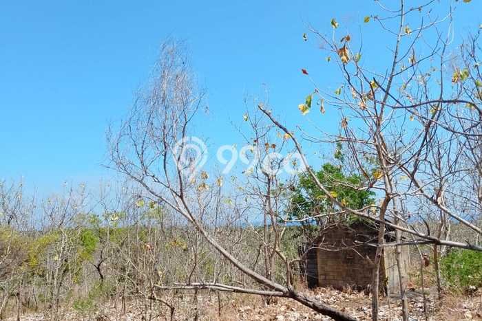 Tanah Dijual Area Strategis di Singaraja Buleleng 4000m2 Tanah Dijual Area Strategis di Singaraja Buleleng 4000m2
