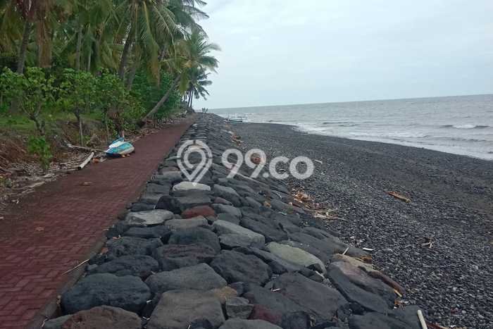 Untuk Dijual Tanah di Buleleng, Luas 2500m2 SHM Untuk Dijual Tanah di Buleleng, Luas 2500m2 SHM