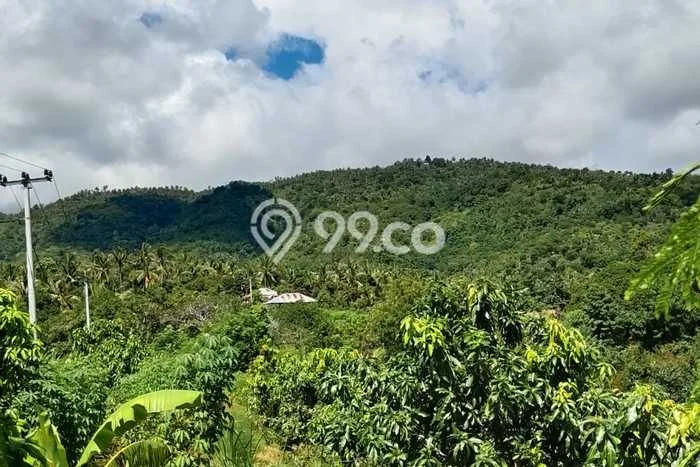 Kavling Tanah untuk Dijual di Singaraja, Buleleng, Luas 7500m2 Kavling Tanah untuk Dijual di Singaraja, Buleleng, Luas 7500m2