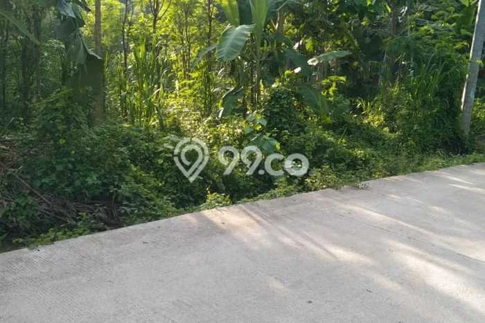 Untuk Dijual Tanah di Lombok Barat, Luas 800m2 SHM Untuk Dijual Tanah di Lombok Barat, Luas 800m2 SHM