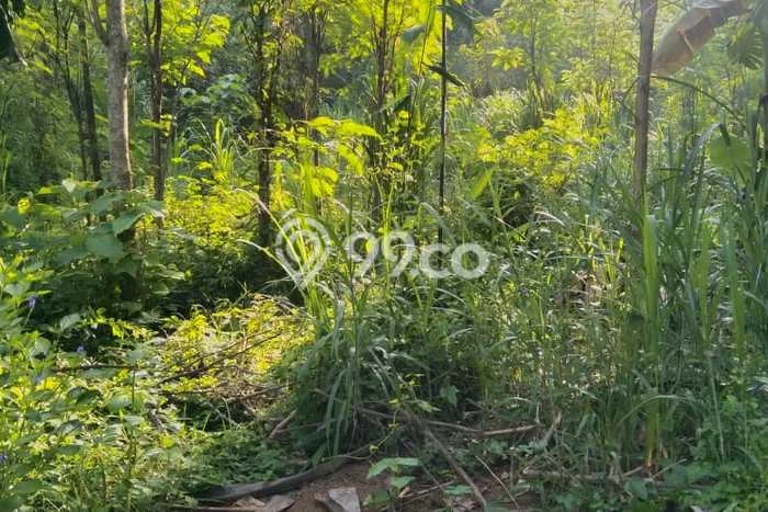 Untuk Dijual Tanah di Lombok Barat, Luas 800m2 SHM Untuk Dijual Tanah di Lombok Barat, Luas 800m2 SHM