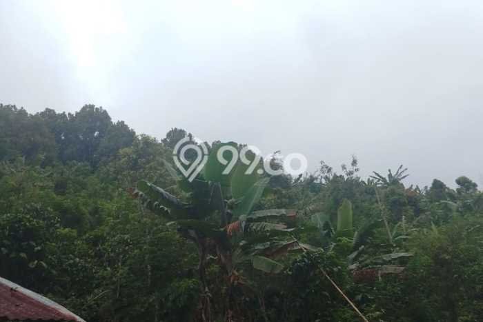 Tanah Kavling Dijual di Buleleng dengan Spesifikasi 30000m2 Tanah Kavling Dijual di Buleleng dengan Spesifikasi 30000m2
