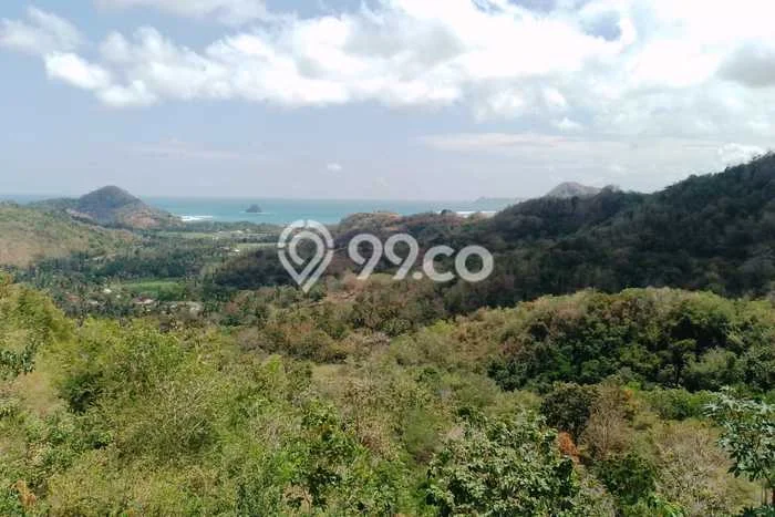 Tanah Dijual Lokasi Strategis di Lombok Barat dengan Luas 7000m2 Tanah Dijual Lokasi Strategis di Lombok Barat dengan Luas 7000m2