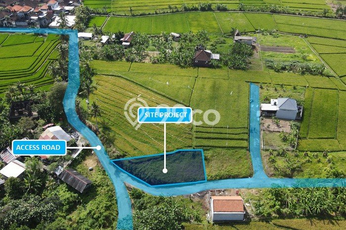 Tanah untuk Dijual Lokasi Tabanan, Tabanan Luas 230m2 SHM Tanah untuk Dijual Lokasi Tabanan, Tabanan Luas 230m2 SHM