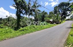 Tanah Dijual Lokasi Tegallalang, Gianyar Luas 1038m2 Legalitas Aman Tanah Dijual Lokasi Tegallalang, Gianyar Luas 1038m2 Legalitas Aman