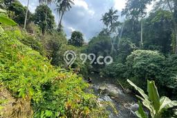 Tanah Kavling untuk Dijual di Ubud Gianyar 4000m2 Tanah Kavling untuk Dijual di Ubud Gianyar 4000m2