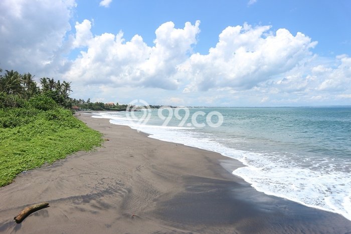 Tanah Dijual di Badung Seluas 10000m2 Strategis Tanah Dijual di Badung Seluas 10000m2 Strategis