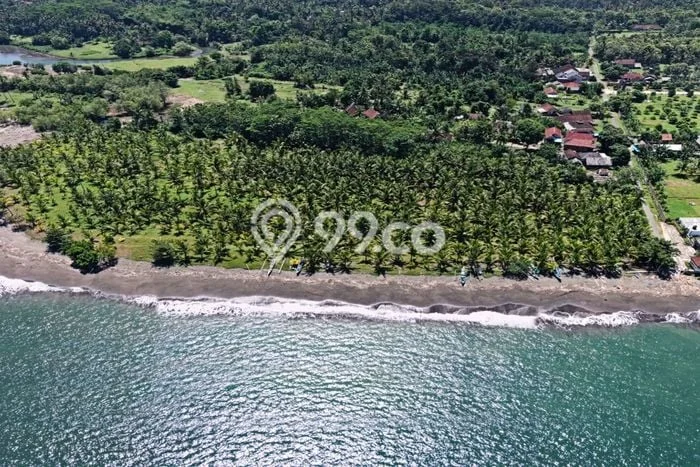 Kavling Tanah di Melaya Dijual Luas 25700m2 Legalitas SHM Kavling Tanah di Melaya Dijual Luas 25700m2 Legalitas SHM