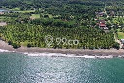 Kavling Tanah di Melaya Dijual Luas 25700m2 Legalitas SHM Kavling Tanah di Melaya Dijual Luas 25700m2 Legalitas SHM