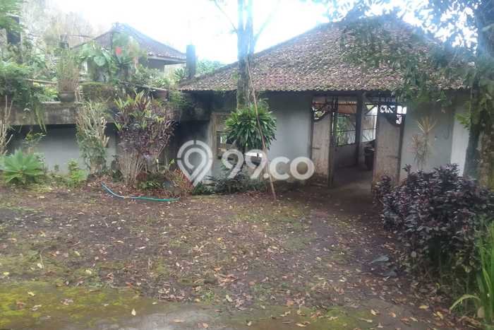 Lahan untuk Dijual di Munduk Buleleng Luas 11400m2 Lahan untuk Dijual di Munduk Buleleng Luas 11400m2