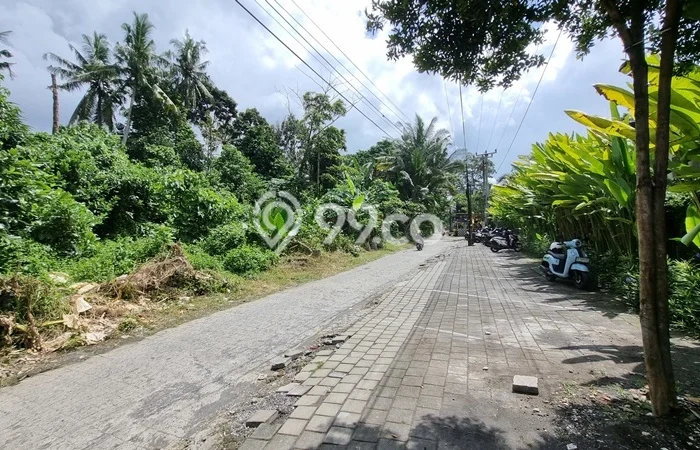 Tanah Strategis Disewakan di Ubud Gianyar Seluas 1800m2 Tanah Strategis Disewakan di Ubud Gianyar Seluas 1800m2