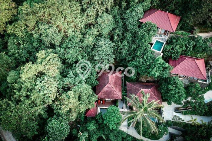 LOKASI TERBAIK! Vila di Ubud, Ukuran 7500m2m², Area Premium dengan jalan mudah LOKASI TERBAIK! Vila di Ubud, Ukuran 7500m2m², Area Premium dengan jalan mudah