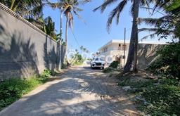 Dijual Tanah 1735m2 di Saba, Gianyar Dijual Tanah 1735m2 di Saba, Gianyar