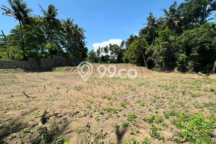 Dijual Tanah di Gianyar, Luas 3400m2 SHM Dijual Tanah di Gianyar, Luas 3400m2 SHM