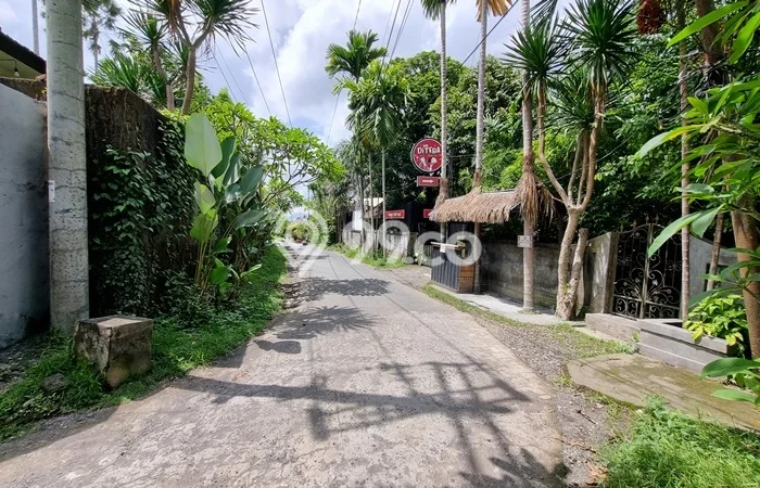 Tanah Strategis Disewakan di Ubud Gianyar Seluas 1800m2 Tanah Strategis Disewakan di Ubud Gianyar Seluas 1800m2