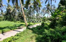 Tanah Dijual Lokasi Tegallalang, Gianyar Luas 2200m2 Legalitas Aman Tanah Dijual Lokasi Tegallalang, Gianyar Luas 2200m2 Legalitas Aman