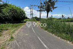 Dijual Tanah di Gianyar, Luas 3400m2 SHM Dijual Tanah di Gianyar, Luas 3400m2 SHM