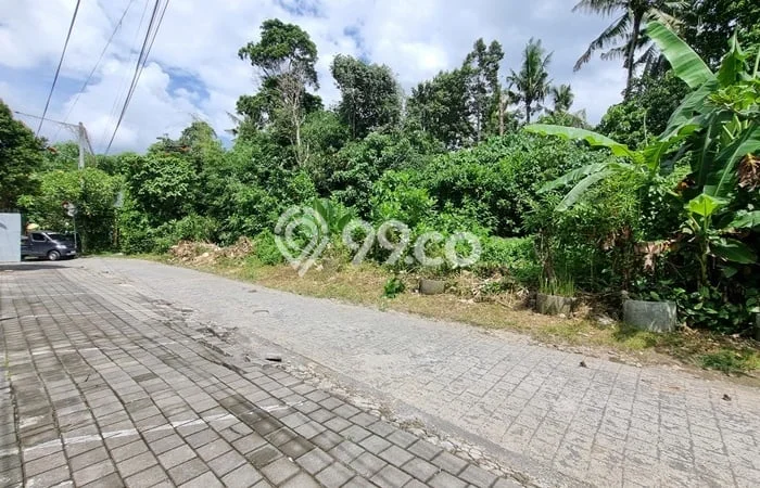 Tanah Strategis Disewakan di Ubud Gianyar Seluas 1800m2 Tanah Strategis Disewakan di Ubud Gianyar Seluas 1800m2