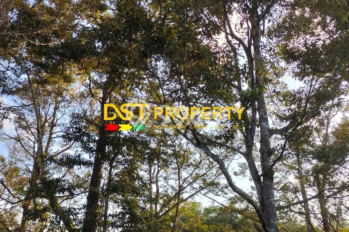 Kavling Tanah untuk Dijual di Bintan Kota, Bintan, Luas 200000m2 Kavling Tanah untuk Dijual di Bintan Kota, Bintan, Luas 200000m2